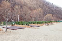 별밤펜션 캠핑장