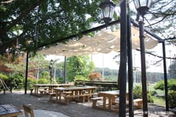 훼릭스 숲속에서그릴