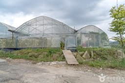 늘푸른체험농원