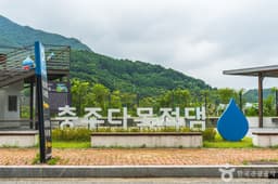 충주댐 벚꽃길