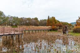 탑정호 수변생태공원