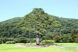 속세를 떠나 풍경을 만나는 곳