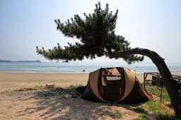 한마음오토캠핑장