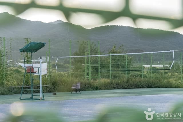 Image 6
