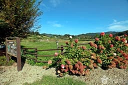 신지천 생태 습지