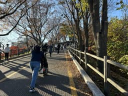 남산순환나들길