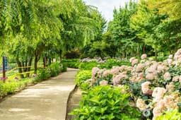 유구색동수국정원