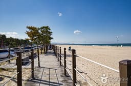 [해파랑길] 43코스