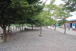 문경 녹색오토캠핑장