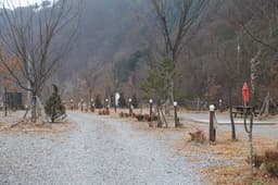 다옴 햇골 캠핑장