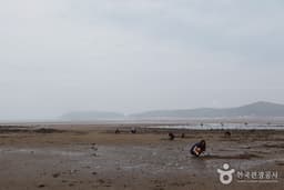 조개 캐고, 쏙 잡고, 맨손 고기잡이까지