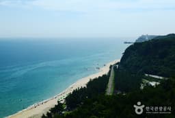 동해안일주해안도로(강릉), 등뼈를 타고 달리다!