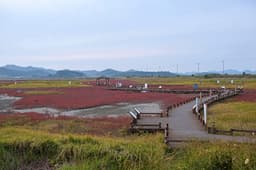 천일염힐링캠프카라반