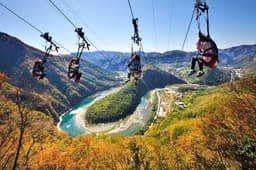 아리힐스짚와이어