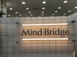 Mind Bridge