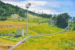 알펜시아 알파인코스터