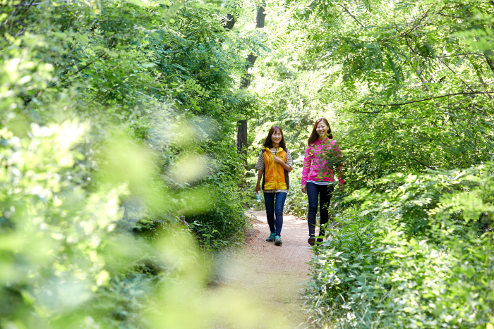 [양천구 둘레길] 산림형코스