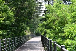 춘천 의암호 자전거길(물레길)