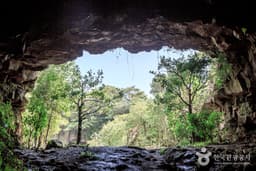 취다선리조트(취다선 리조트 Tea&Meditation)