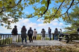 룰루낭만협동조합