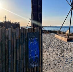 함덕카페 어반정글 그레이밤부