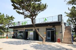 을왕리 솔트 캠핑장