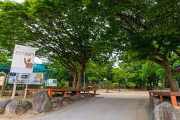 백암온천마을 영농조합법인 야영장