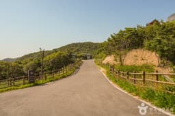 국립무의도자연휴양림