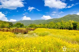 고창 운곡람사르습지