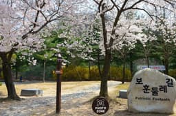 국립대전현충원 보훈둘레길