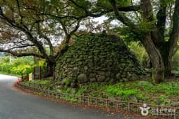 [대구올레 팔공산 3코스] 부인사 도보길