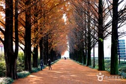 심신에 좋은 것들은 다 모였다.