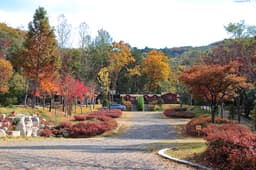 입화산참살이숲제2오토캠핑장