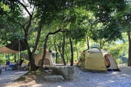 느티나무 캠핑장