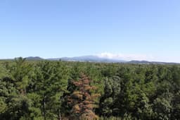 제주곶자왈도립공원