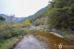 고선계곡(구마계곡)