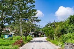 섬진강(천담,구담)