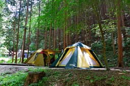 편백힐(치유의숲)야영장