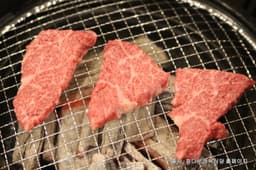 참다운정육식당