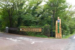 서귀포 자연휴양림 야영장