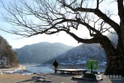 골 깊은 정선 땅, 정이 넘치는 곳