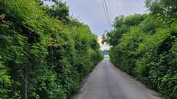 [강원 평화누리길 1코스] 철원 금강산길