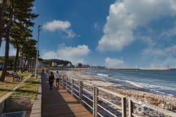 [해파랑길] 44코스