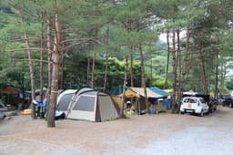 도원패밀리캠핑장