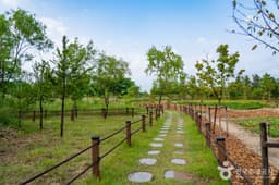 영랑호 습지생태공원