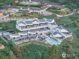 코스모스 울릉도