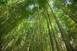 [지리산둘레길] 위태-하동호