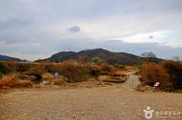 봉황경(능암리섬)