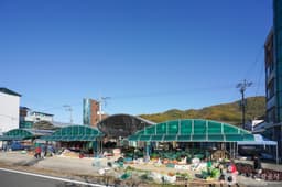 진주 문산장 (4, 9일)