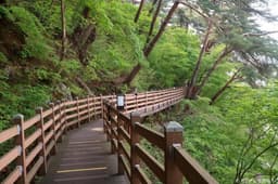 [효석문학100리길 1코스] 문학의 길